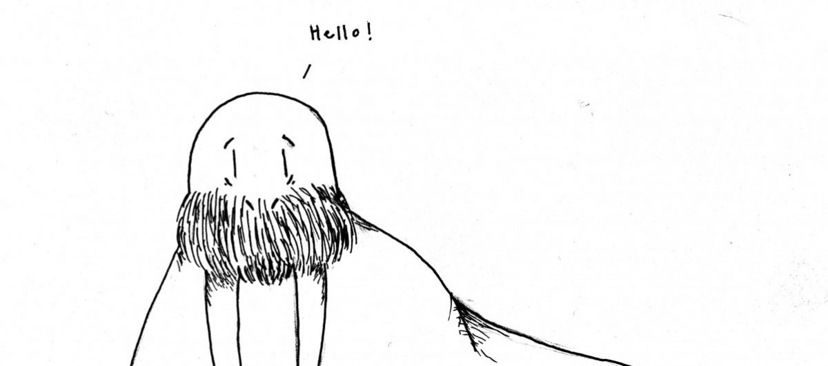 I Draw Walruses