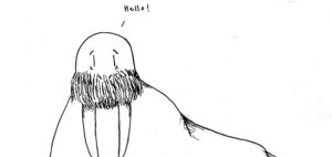 I Draw Walruses